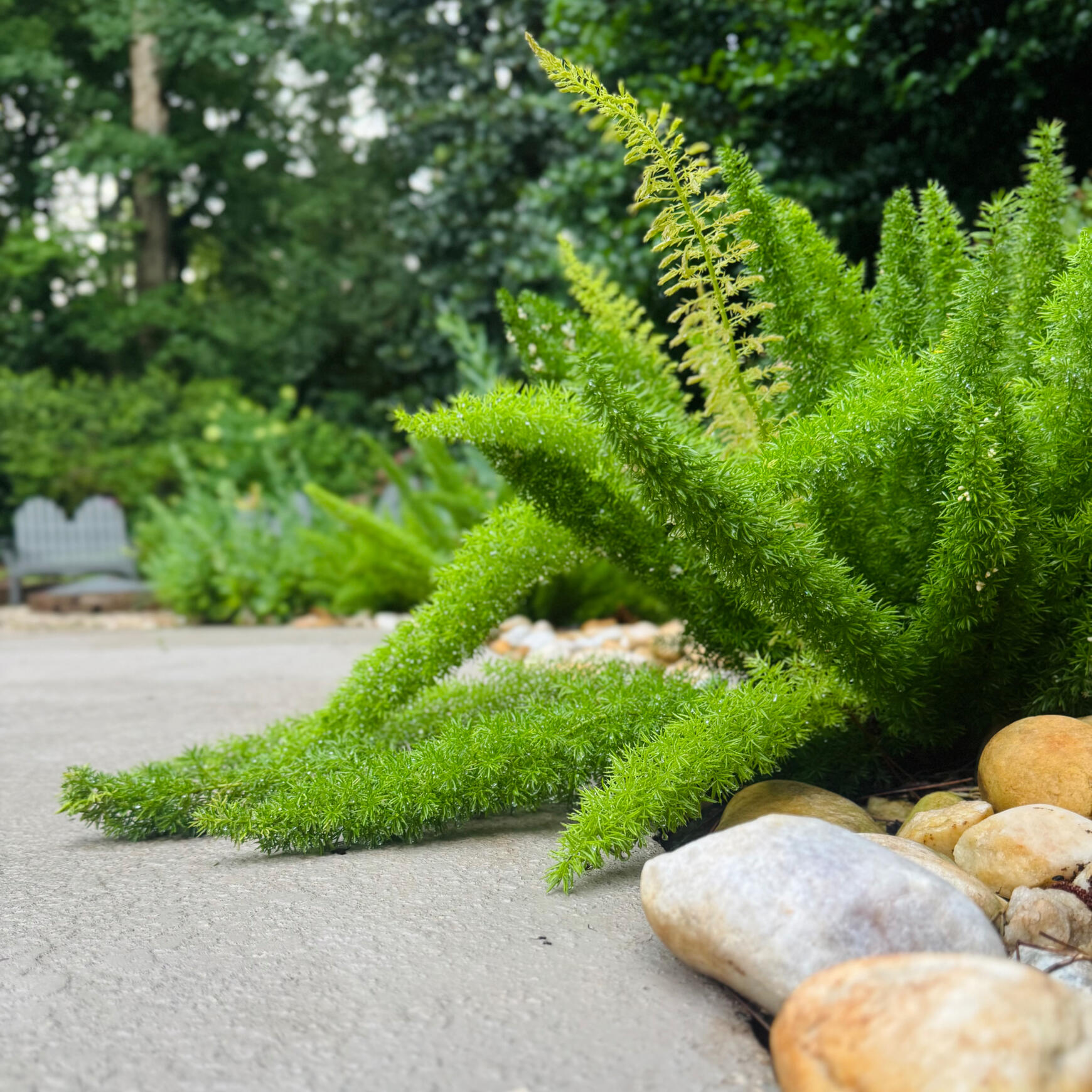 This project made a splash without a large budget. Simple changes, big difference: fresh paint, warm brass, and natural wood details that make this porch feel like home again. This project made a splash without a large budget. Simple changes, big difference: fresh paint, warm brass, and natural wood details that make this porch feel like home again.